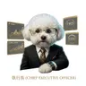 毛宇宙|一人公司效率工具 的個人檔案照片